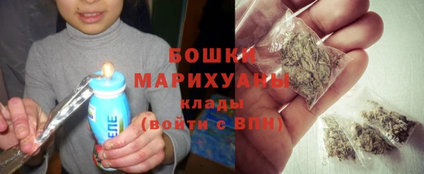 гидра Горно-Алтайск