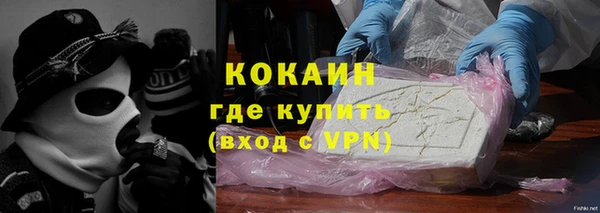 гидра Горно-Алтайск