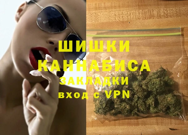 гидра Горно-Алтайск