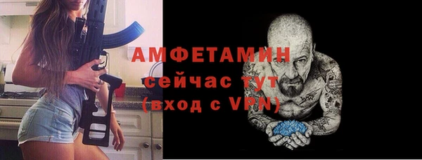 гидра Горно-Алтайск