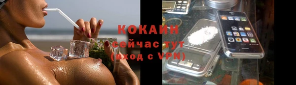 гидра Горно-Алтайск