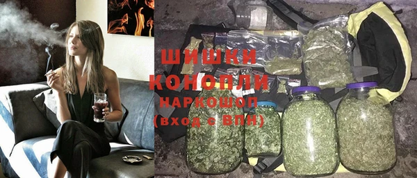 ГАЛЛЮЦИНОГЕННЫЕ ГРИБЫ Горняк