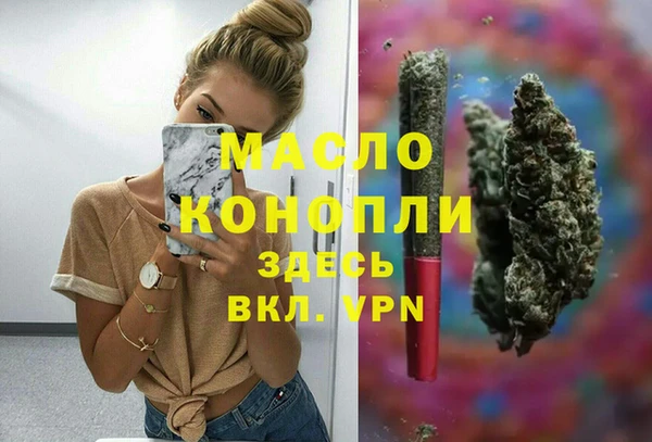 гидра Горно-Алтайск